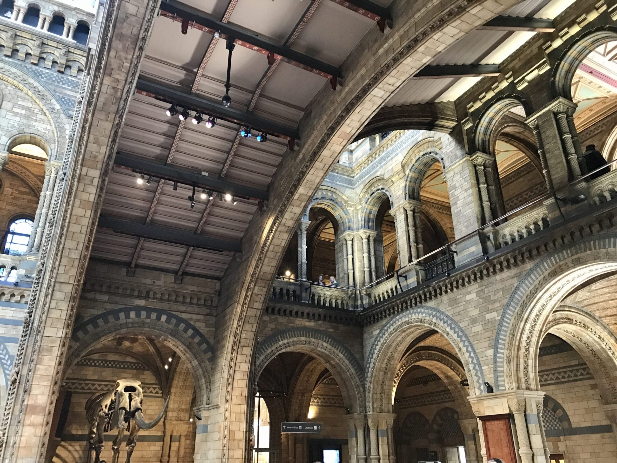 Natural History Museum Architecture London Christian Tour - Nate Loper