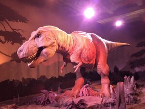 T-Rex Dinosaur Natural History Museum London Christian Tour