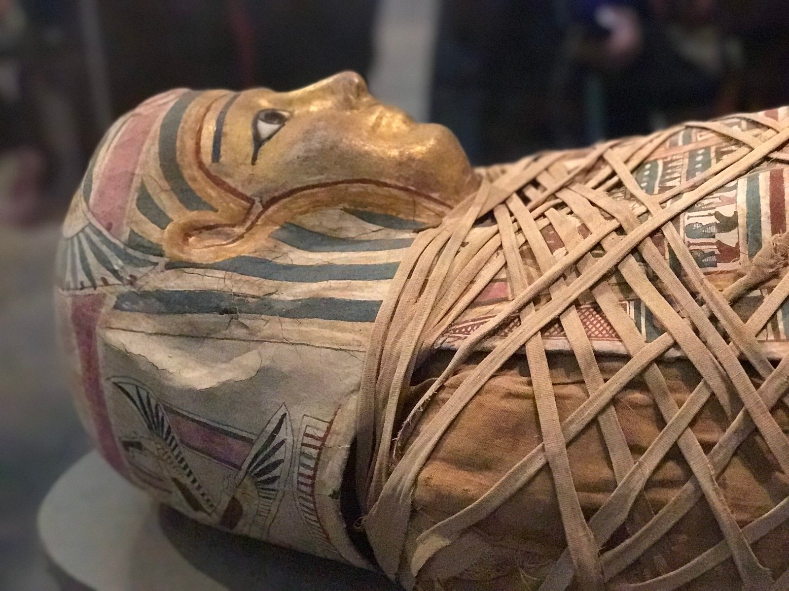 A close-up of an ancient Egyptian mummy with a painted, golden face mask and intricate linen wrappings, displayed in a museum setting. Egyptian Museum Nate Loper
